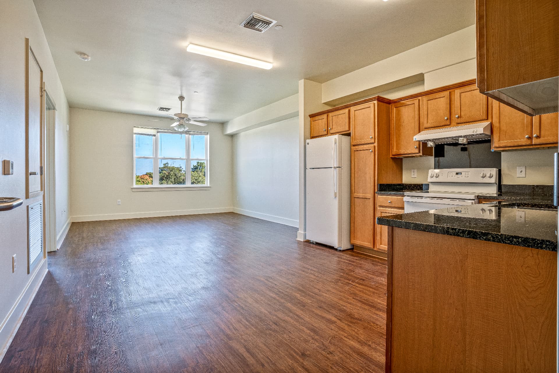 Renovated apartment kitchen with new cabinetry and appliances